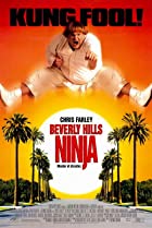 Beverly Hills Ninja 1997 Hindi Dubbed 480p 720p FilmyZilla
