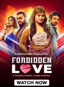 Forbidden Love FilmyZilla 2024 Hindi Hot Adult Movie
