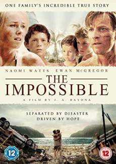 The Impossible 2012 Dual Audio Hindi 480p 300MB FilmyZilla